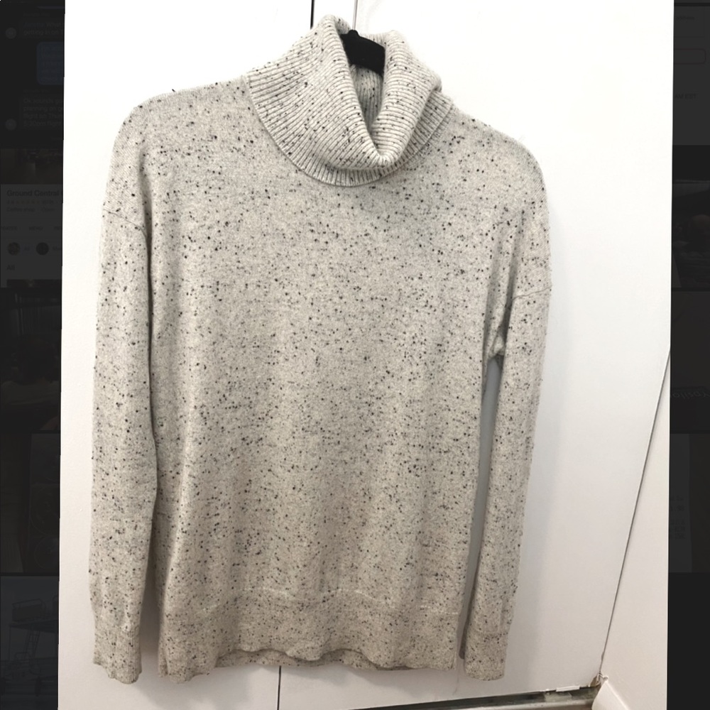 Everlane Turtleneck Sweater